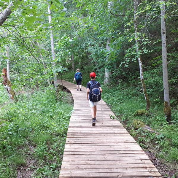 wooden-walkway-ideas