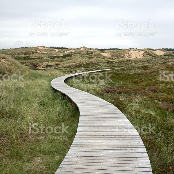 wooden-walkway-ideas