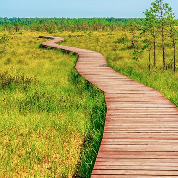 wooden-walkway-ideas