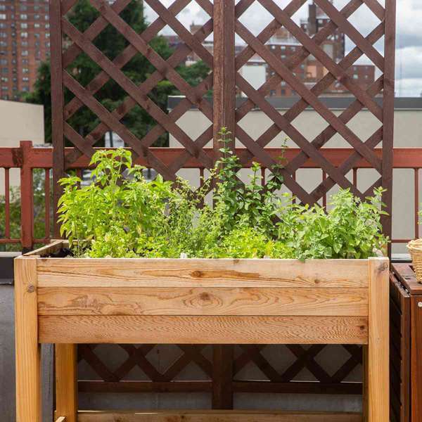 superdraft_rooftop-terrace-garden_153784181