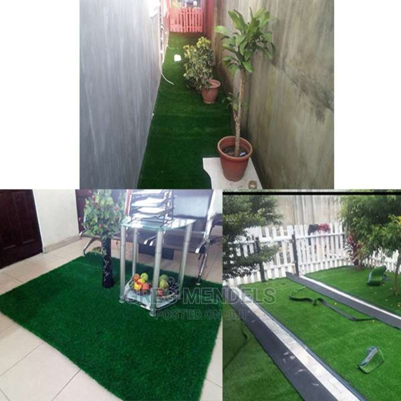 f77f503f-73e1-44da-9aba-ef672d11cb0d._CR00970600_PT0_SX970__-1