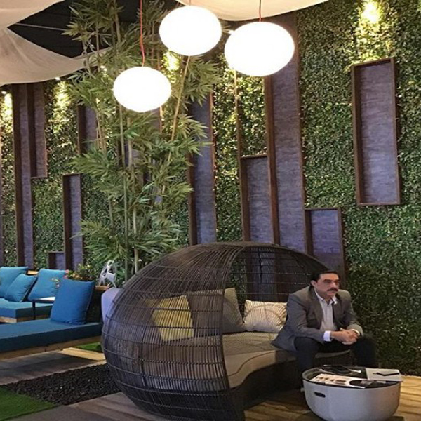 empty-cafe-artificial-plant-decoration-wall-coffee-shop-ecology-design-interior-171188035 (1)