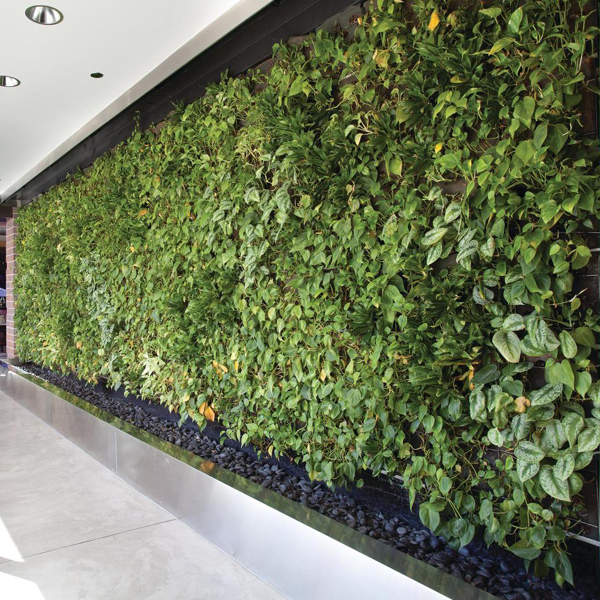 Plant-Wall-Artificial-Lawn-Boxwood-Hedge-Garden-Backyard-Home-Decor-Simulation-Grass-Turf-Rug-Lawn-Outdoor-Flower-Wall