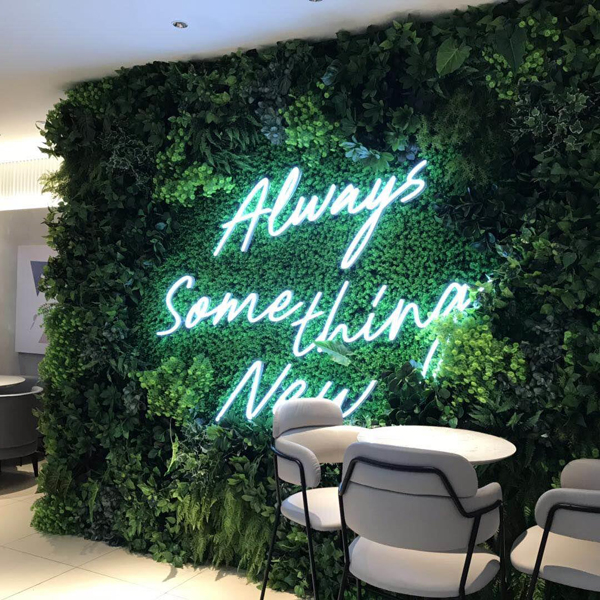 empty-cafe-artificial-plant-decoration-wall-coffee-shop-ecology-design-interior-171188035 (1)