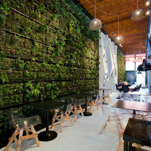 empty-cafe-artificial-plant-decoration-wall-coffee-shop-ecology-design-interior-171188035 (1)