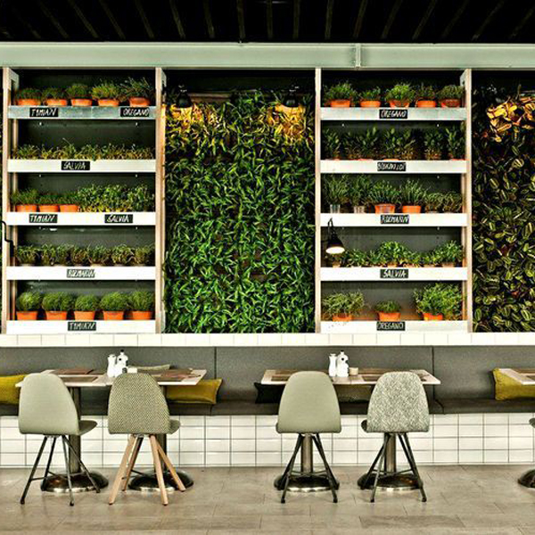 empty-cafe-artificial-plant-decoration-wall-coffee-shop-ecology-design-interior-171188035 (1)