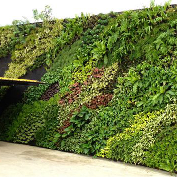 Plant-Wall-Artificial-Lawn-Boxwood-Hedge-Garden-Backyard-Home-Decor-Simulation-Grass-Turf-Rug-Lawn-Outdoor-Flower-Wall