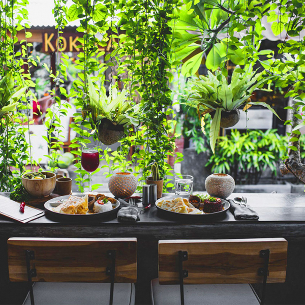 empty-cafe-artificial-plant-decoration-wall-coffee-shop-ecology-design-interior-171188035 (1)