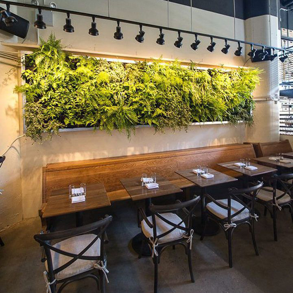 empty-cafe-artificial-plant-decoration-wall-coffee-shop-ecology-design-interior-171188035 (1)