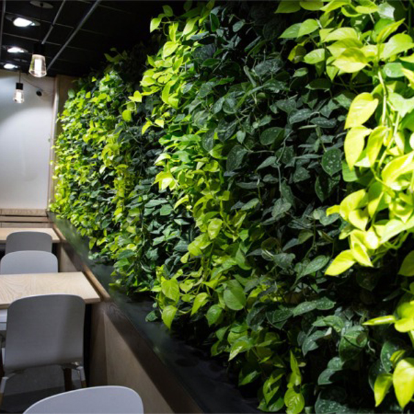 empty-cafe-artificial-plant-decoration-wall-coffee-shop-ecology-design-interior-171188035 (1)