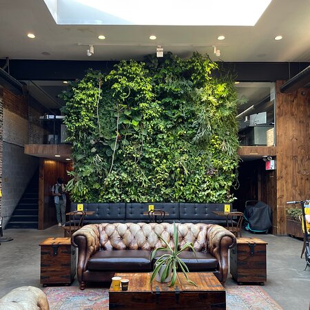 empty-cafe-artificial-plant-decoration-wall-coffee-shop-ecology-design-interior-171188035 (1)