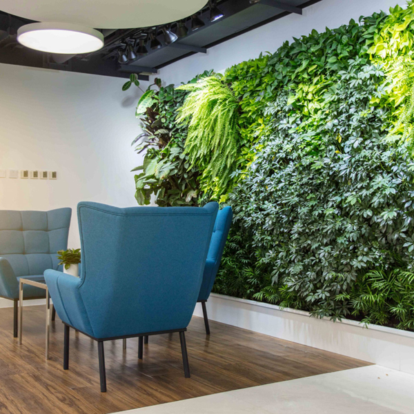2017-New-arrival-artificial-plastic-lawn-green-grass-wall-office-home-market-hotel-shop-bar-decorative.jpg_Q90.jpg_