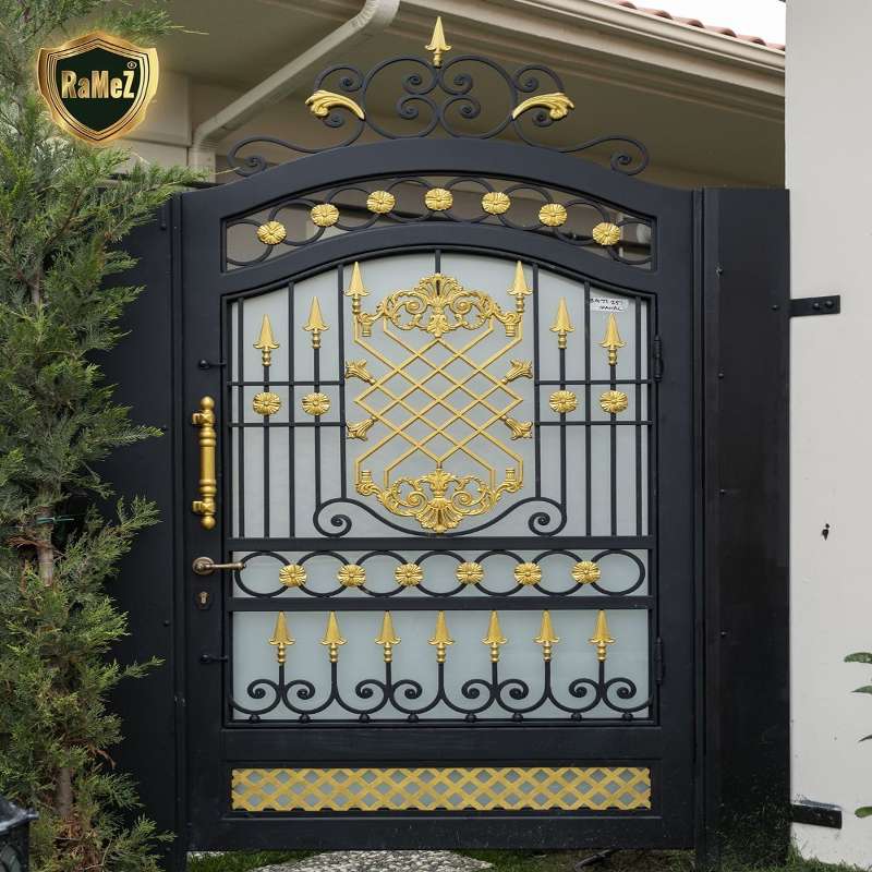 iron-single-door-design